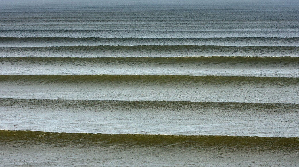 Víctor Larco Herrera