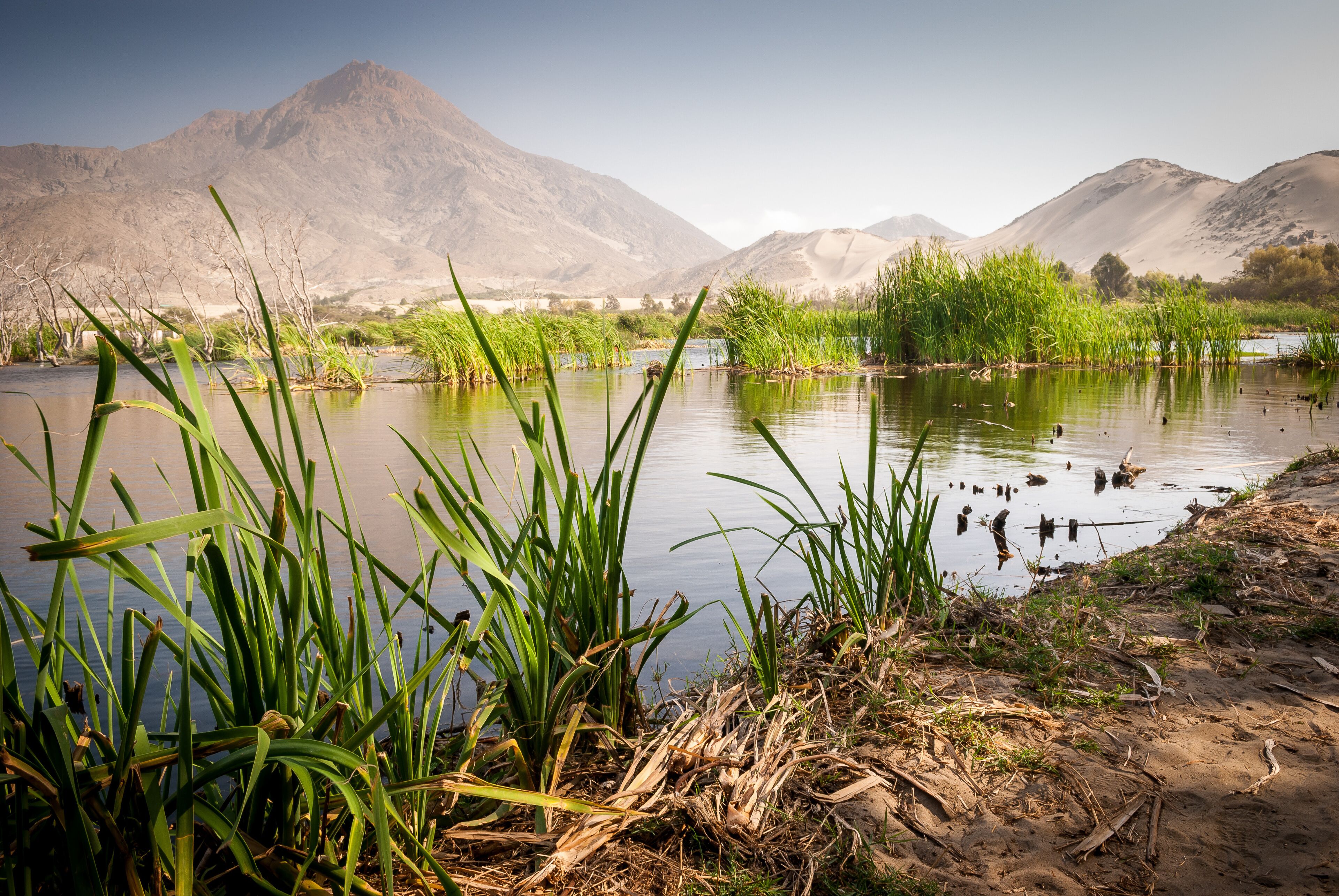 A river with green vegetation and mountains in the background.