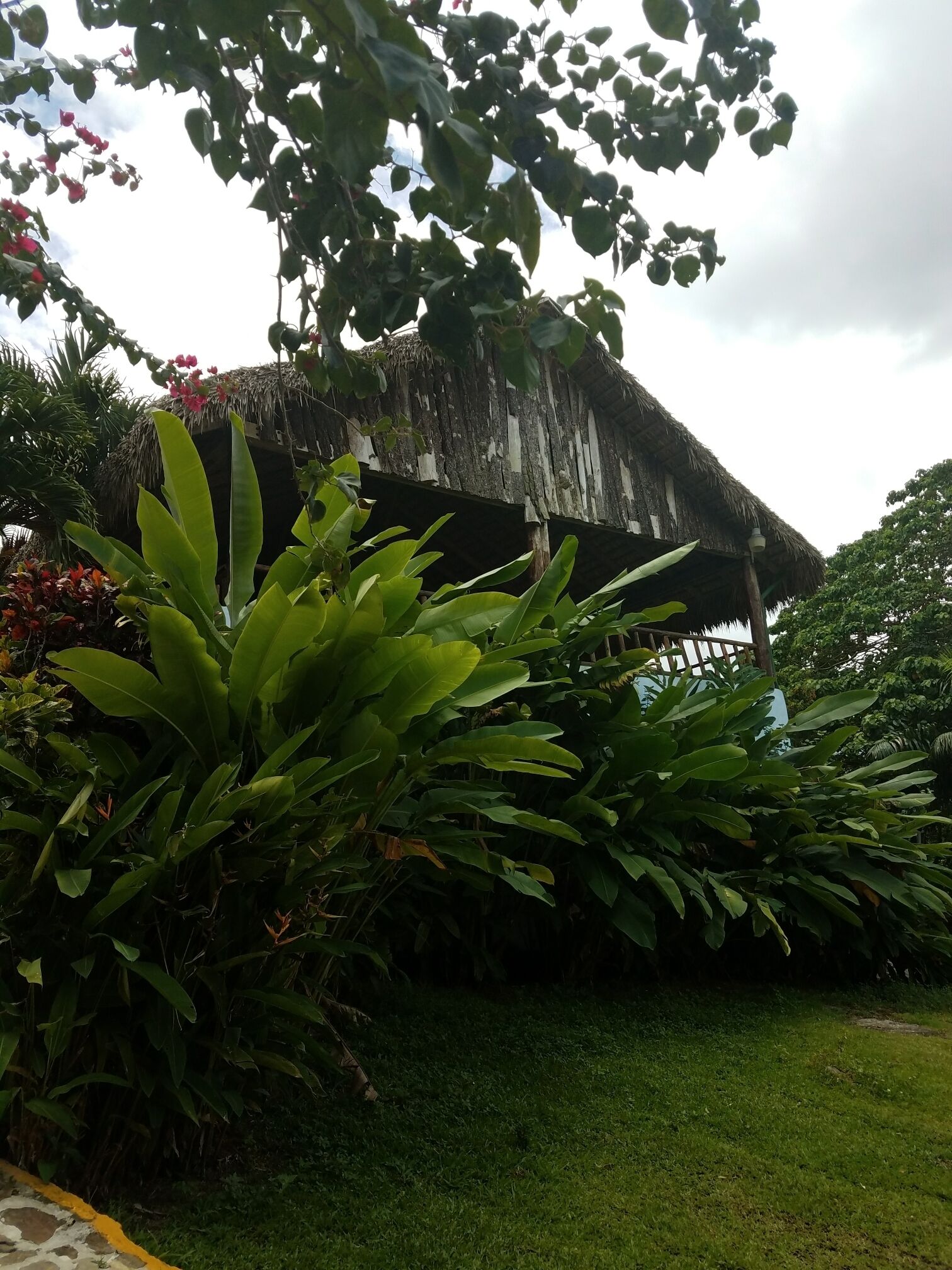 A true Dominican lunch spot. Had a local man painting  live Dominican dancing show in costume, and a real Dominican feast with rice, beans, chicken, meats, fresh fruits and breads.
#dominican #springfun #vacation #culture #peaceful #happiness 