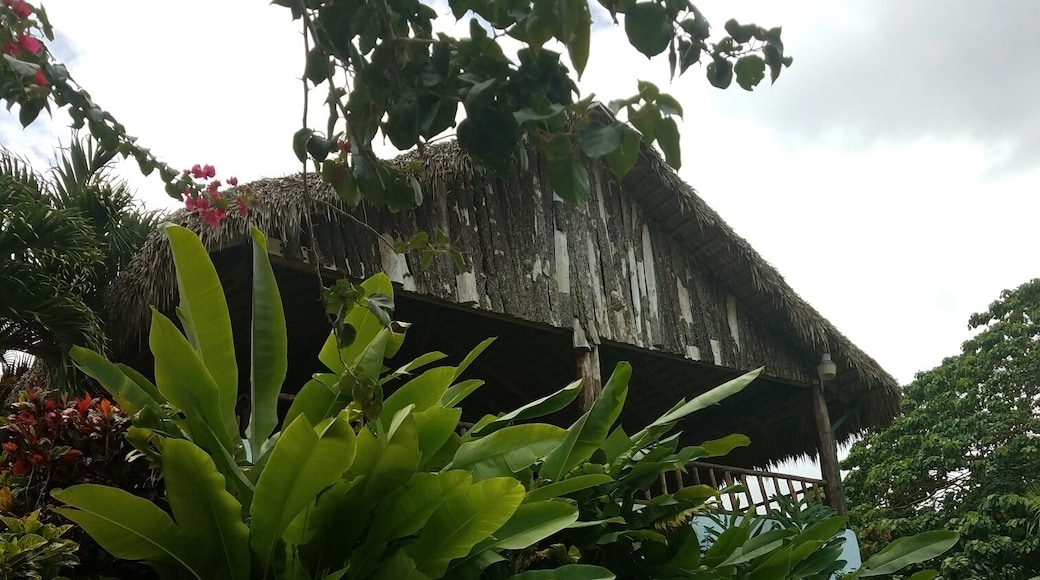 A true Dominican lunch spot. Had a local man painting live Dominican dancing show in costume, and a real Dominican feast with rice, beans, chicken, meats, fresh fruits and breads.
#dominican #springfun #vacation #culture #peaceful #happiness