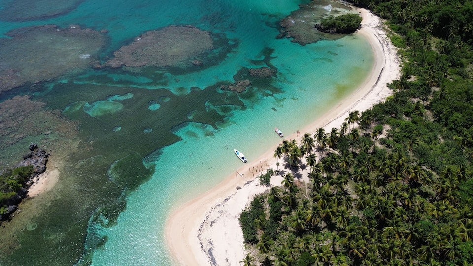 A turquoise coastal area with clear waters, a sandy beach, and dense palm trees.