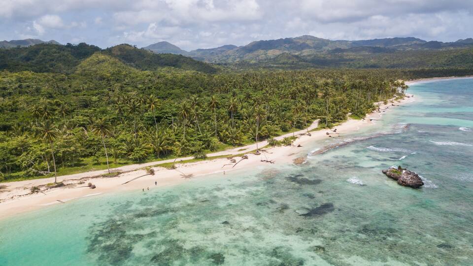 A tropical beach with clear turquoise waters, a sandy shore, and dense palm trees.