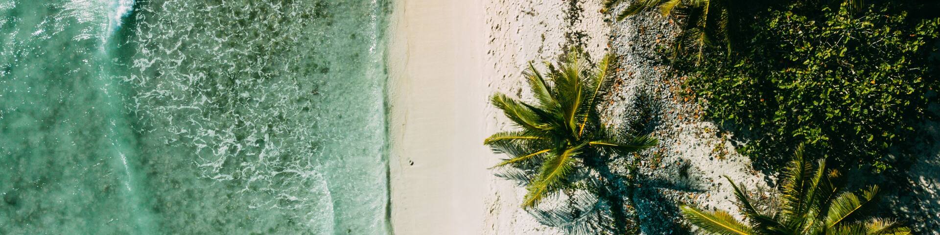 The couple walks on the beach between the ocean and palm trees