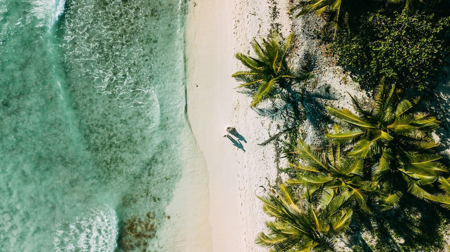 The couple walks on the beach between the ocean and palm trees