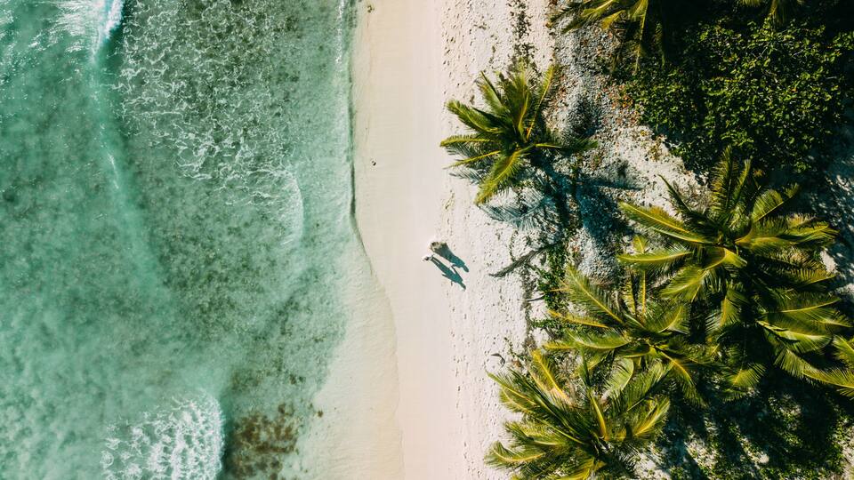 A beach with clear turquoise water, white sand, and palm trees.