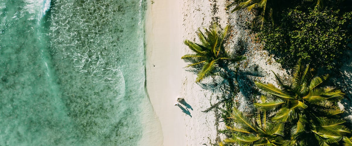 A beach with clear turquoise water, white sand, and palm trees.