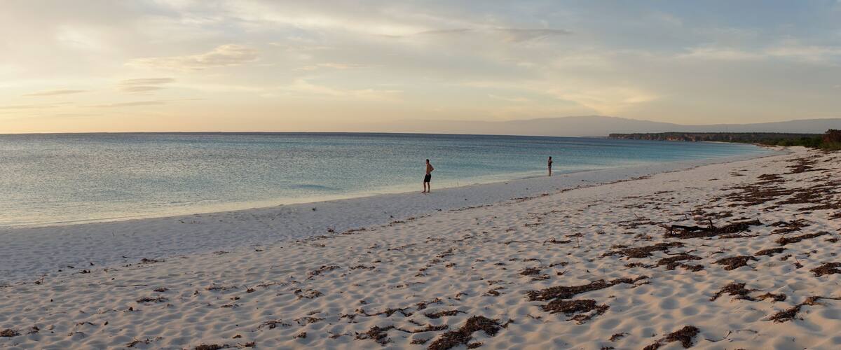A beach with sand and seaweed, a person standing in the water, and distant mountains.