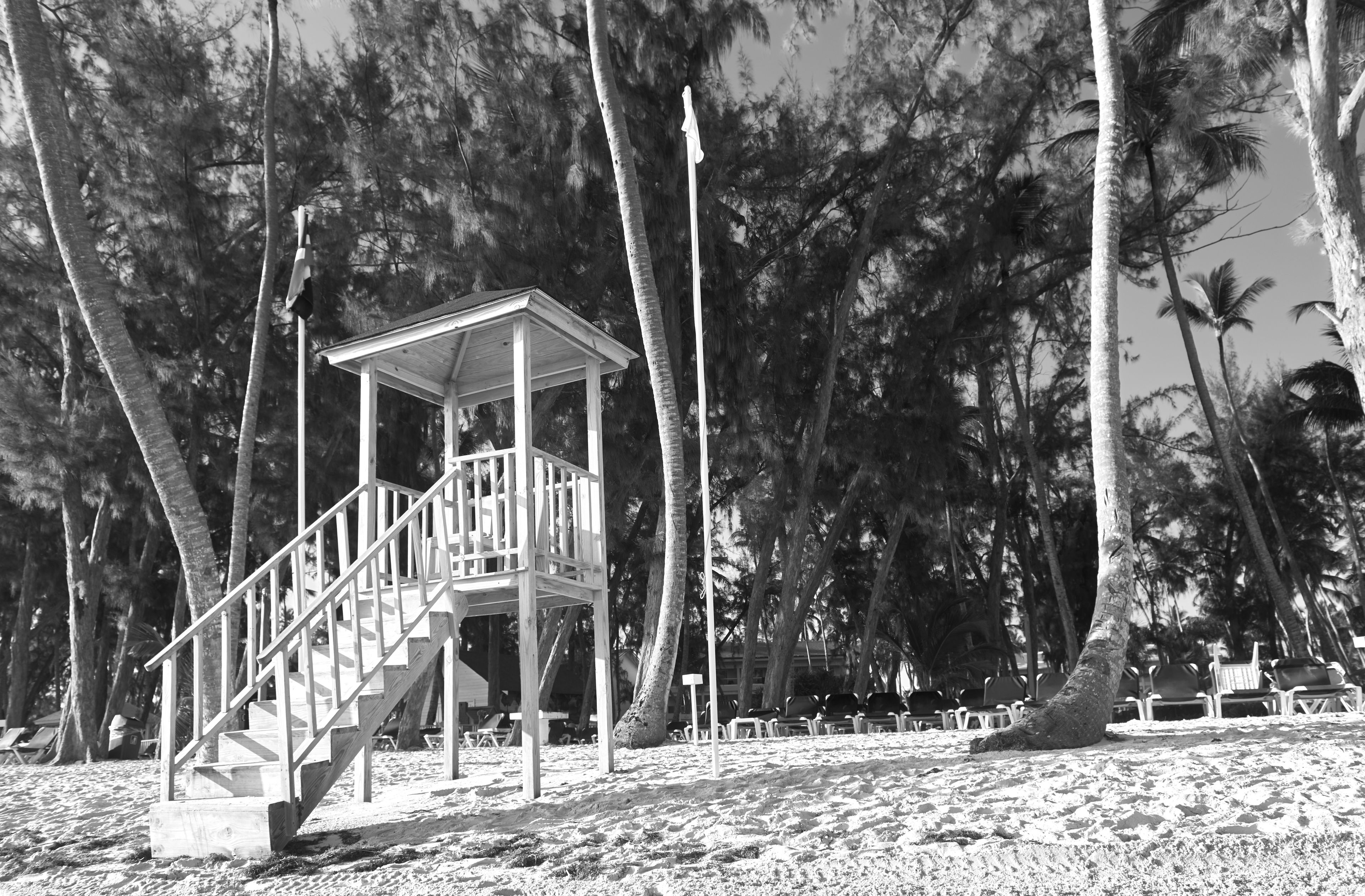 Eine hölzerne Strandkonstruktion mit einer Treppe, umgeben von hohen Palmen.