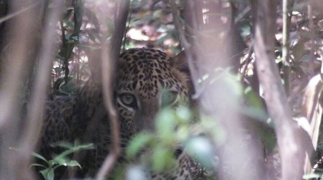 Attention towards us always.
Spot my spots if you can