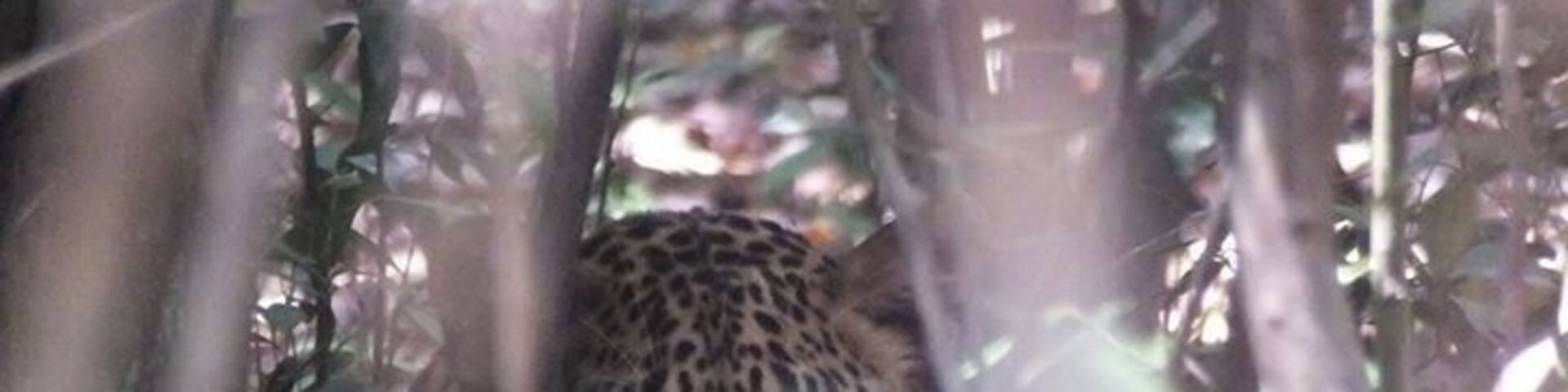 Attention towards us always.
Spot my spots if you can