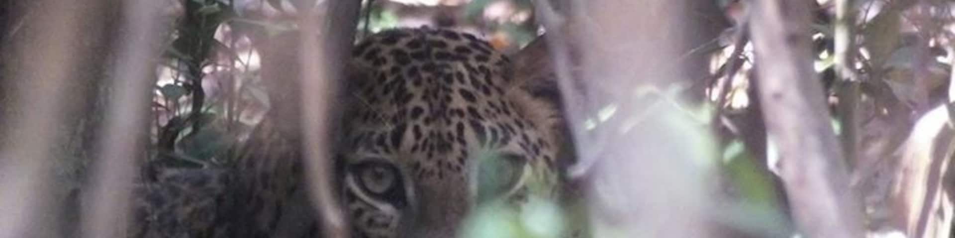 Attention towards us always.
Spot my spots if you can