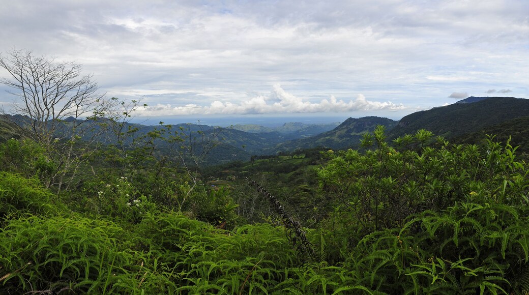 Kotapola