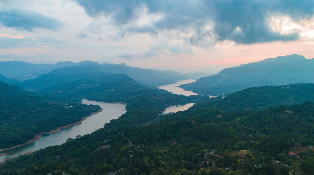 amazing areal in nuwara eliya on the water mouth in the forest on sunset of background