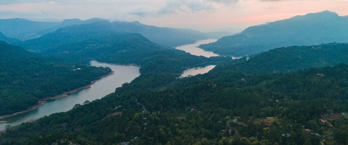 amazing areal in nuwara eliya on the water mouth in the forest on sunset of background