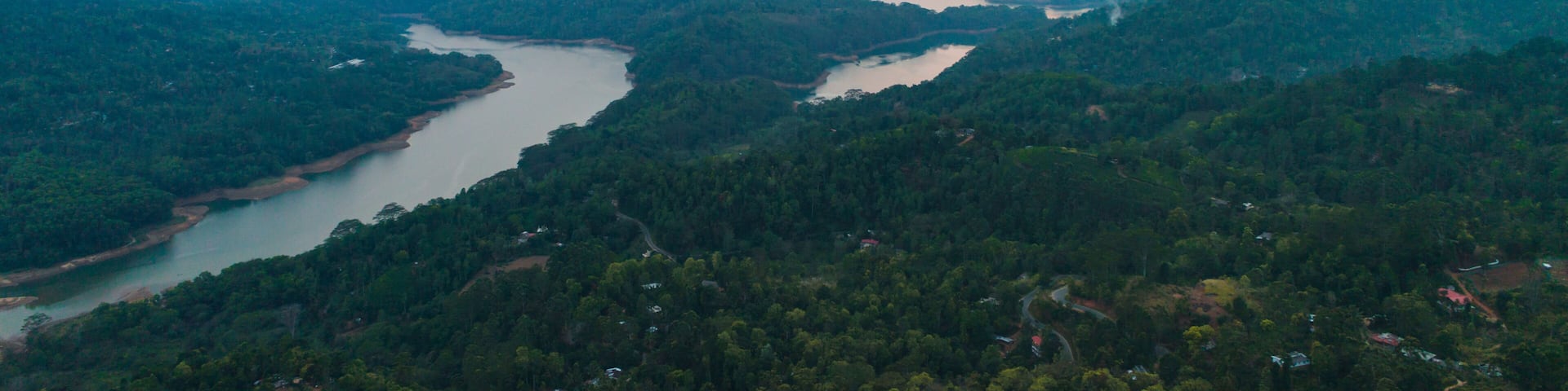 amazing areal in nuwara eliya on the water mouth in the forest on sunset of background