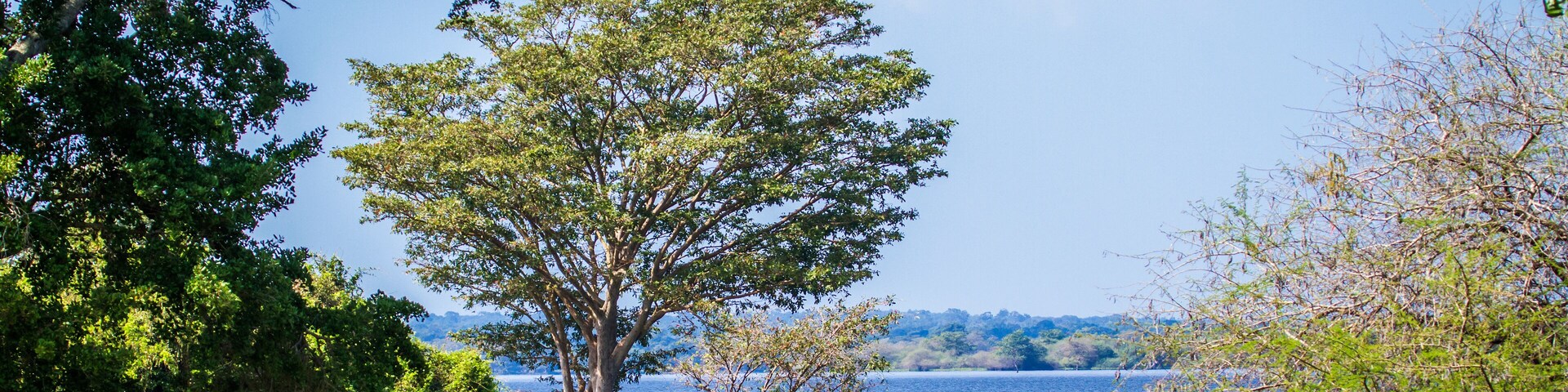 Thabbowa sanctuary in Puttalam, Sri Lanka