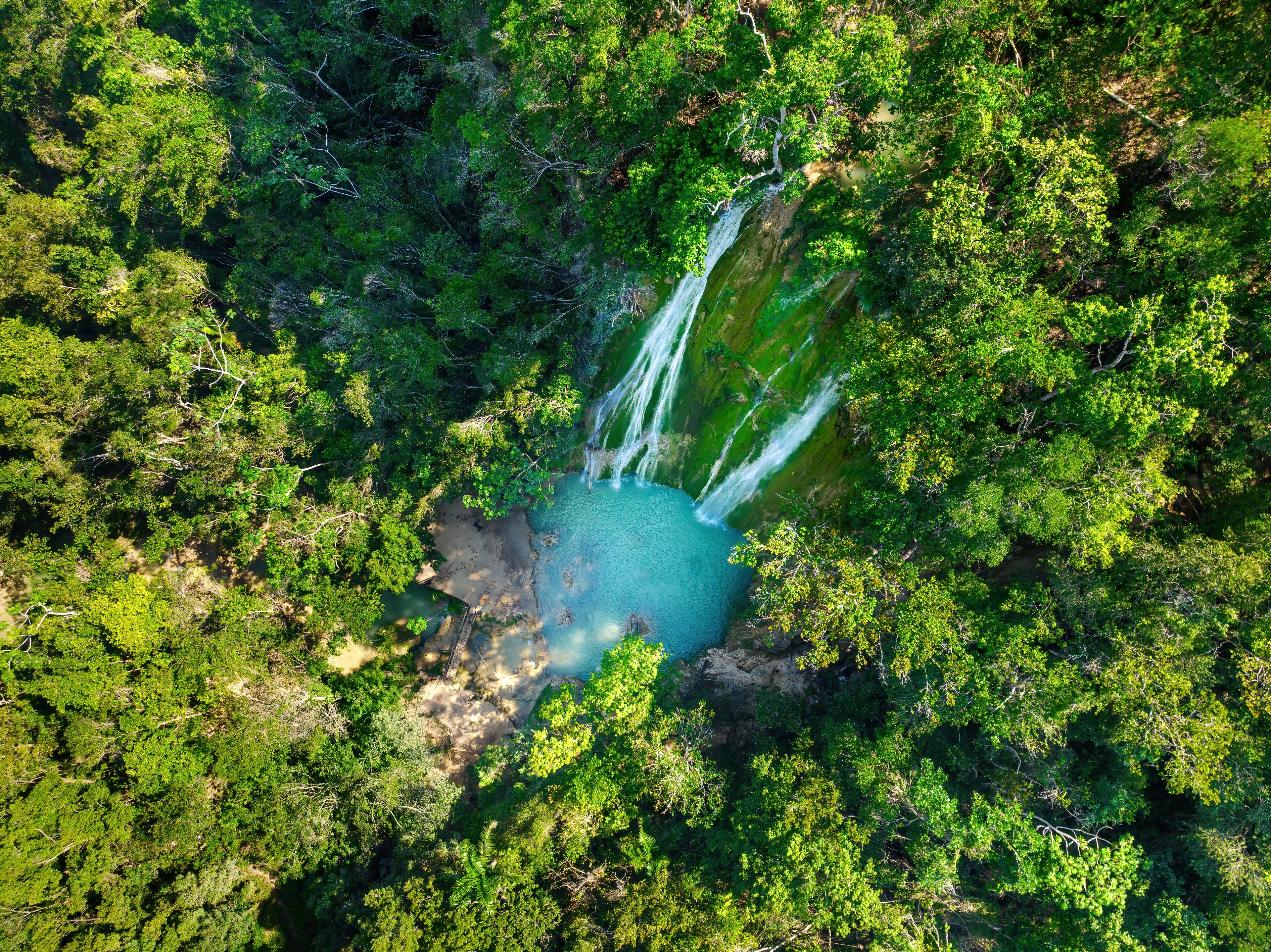 A waterfall cascading into a turquoise pool surrounded by dense green forest.