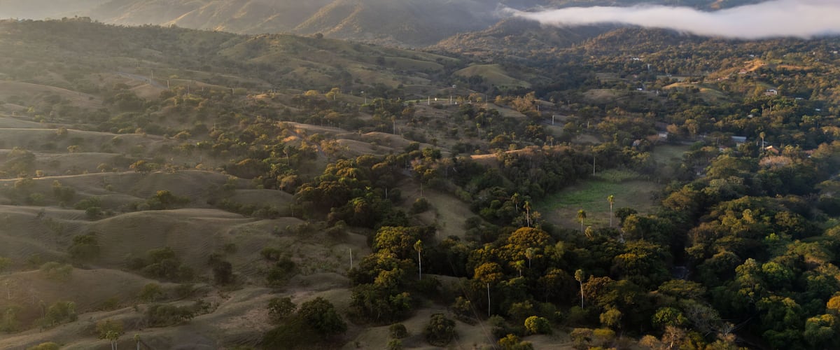 A valley with rolling hills, scattered trees, and a distant mountain range.