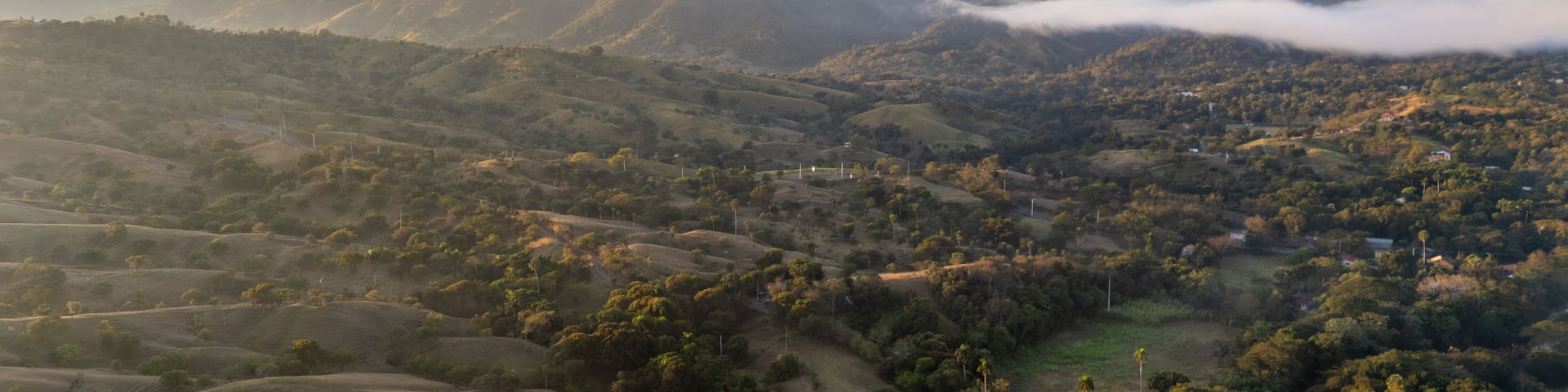 A valley with rolling hills, scattered trees, and a distant mountain range.