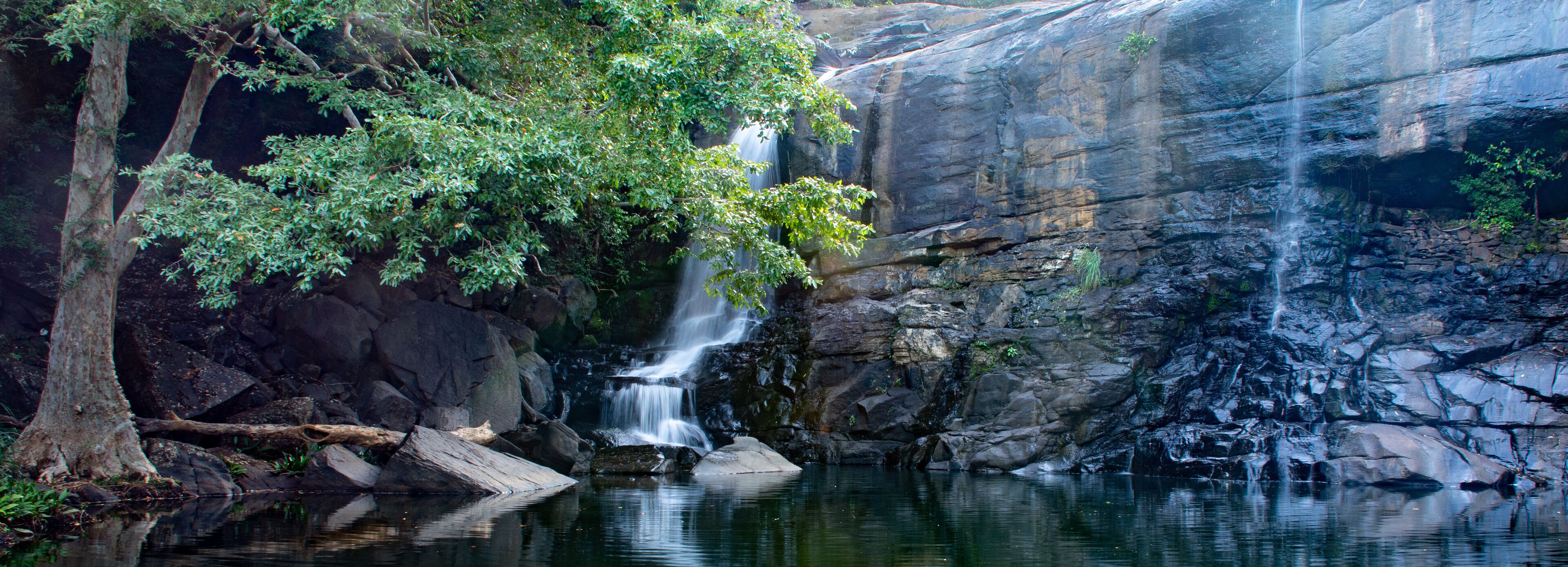 A waterfall cascading over rocks into a calm pool surrounded by lush greenery.