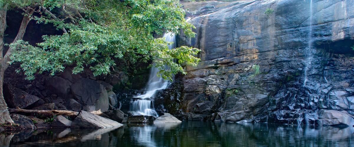 A waterfall cascading over rocks into a calm pool surrounded by lush greenery.