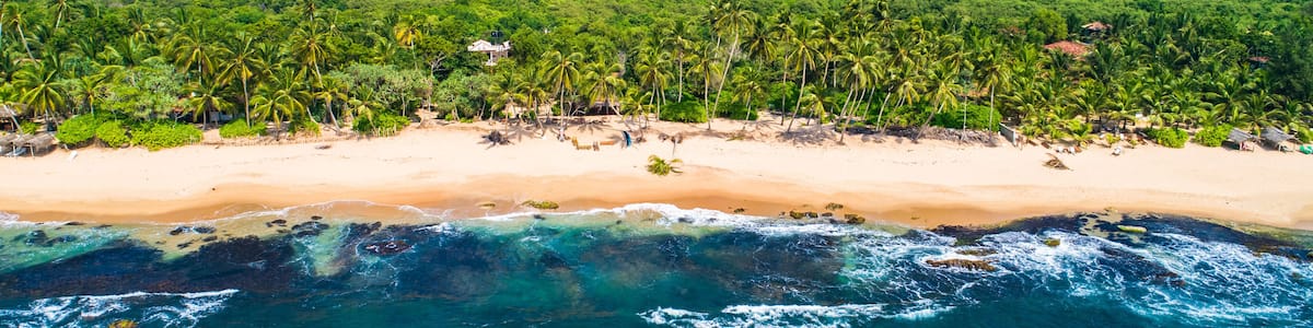 A tropical beach with palm trees, a sandy shore, and clear blue waters.