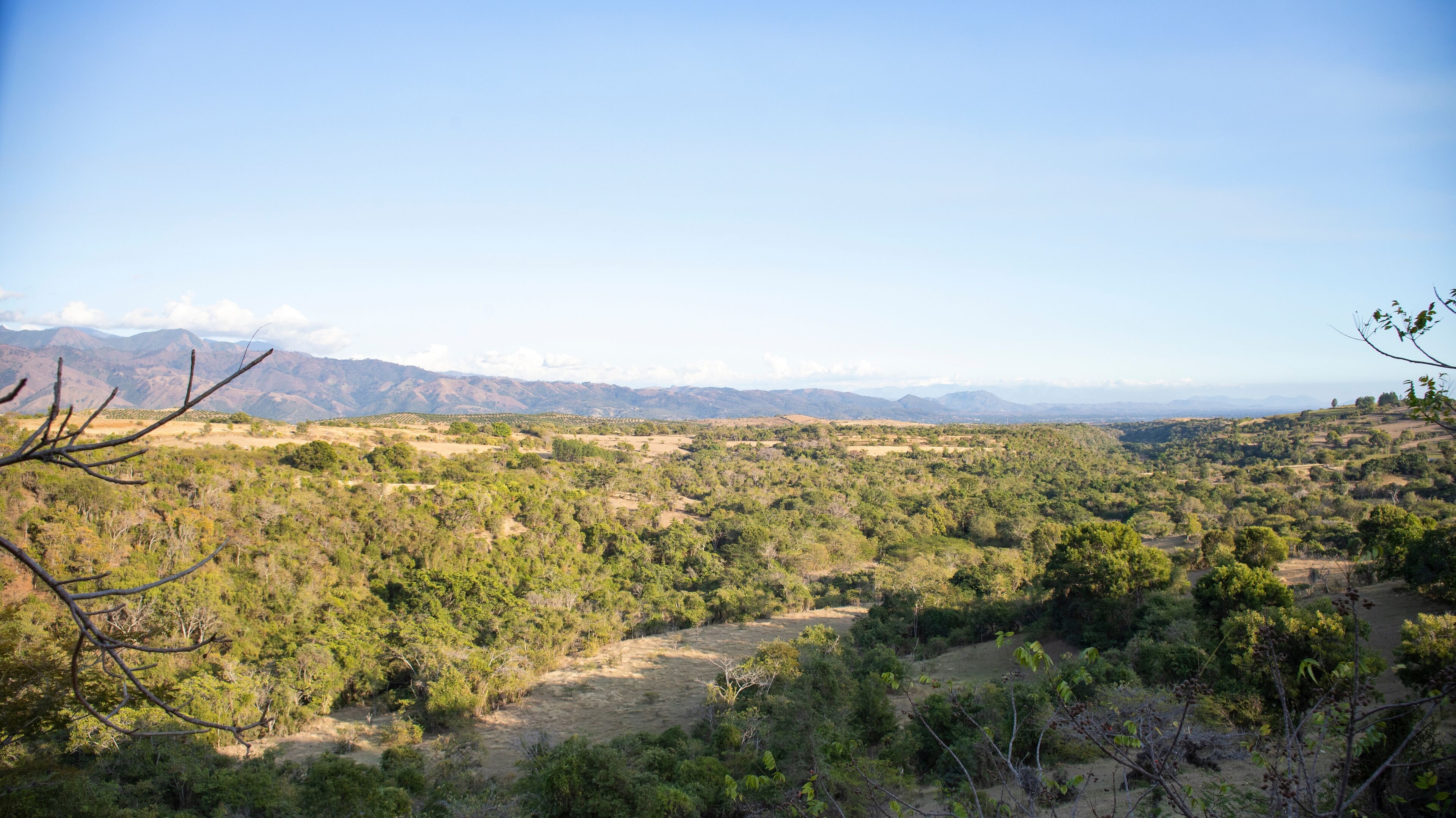 Las Matas de Farfán