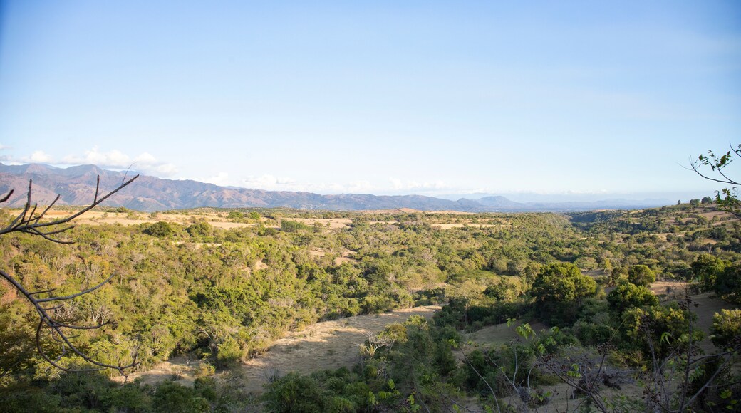 Las Matas de Farfán