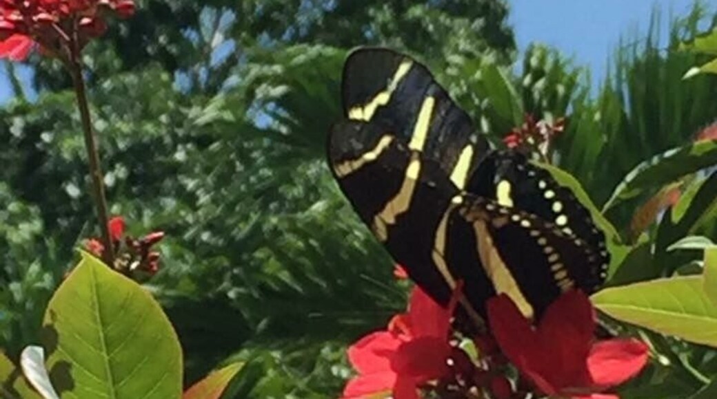 Enchanted garden in Estancia Nueva.