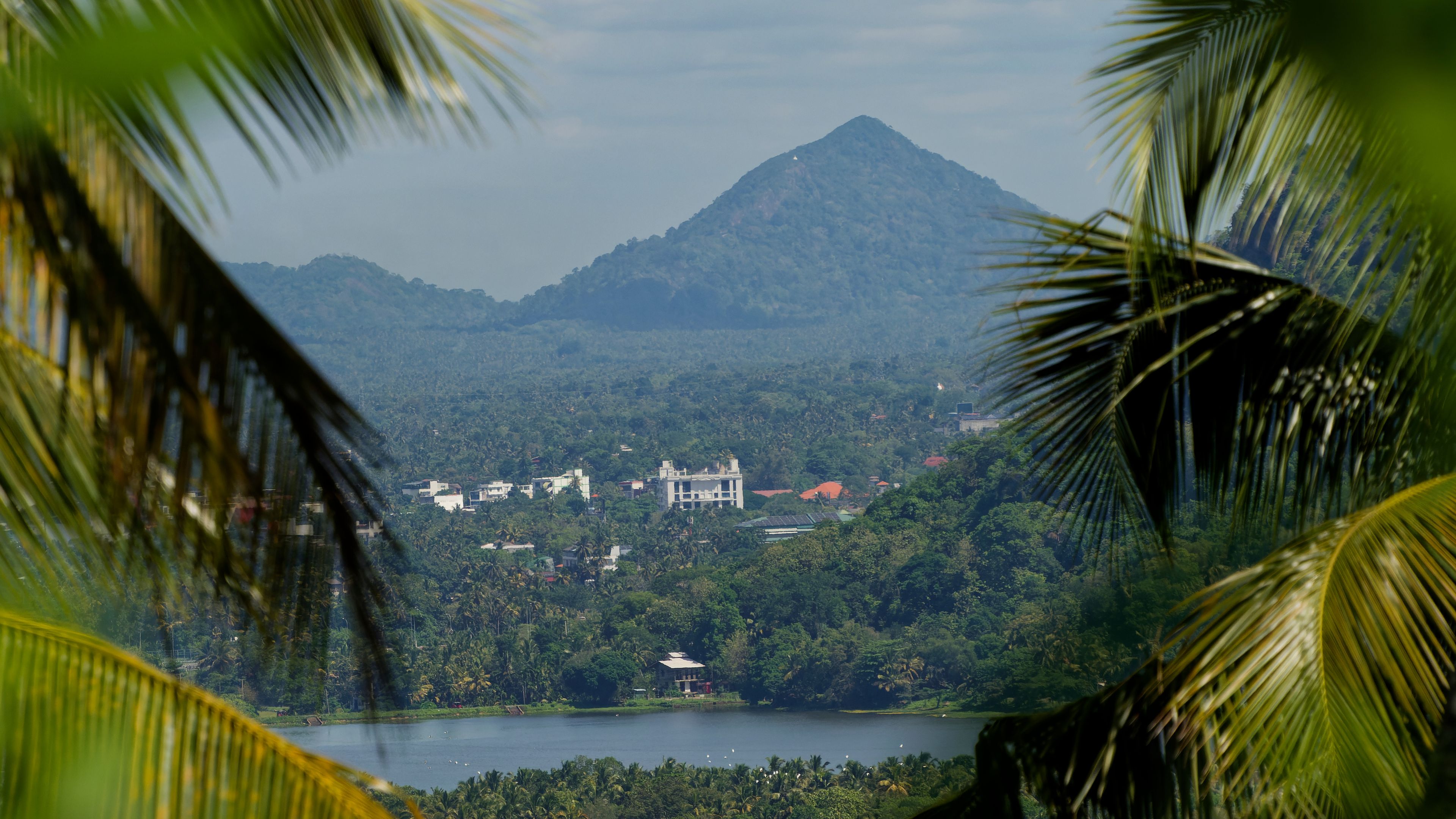 A mountainous landscape with a lake, surrounded by dense greenery and palm trees.