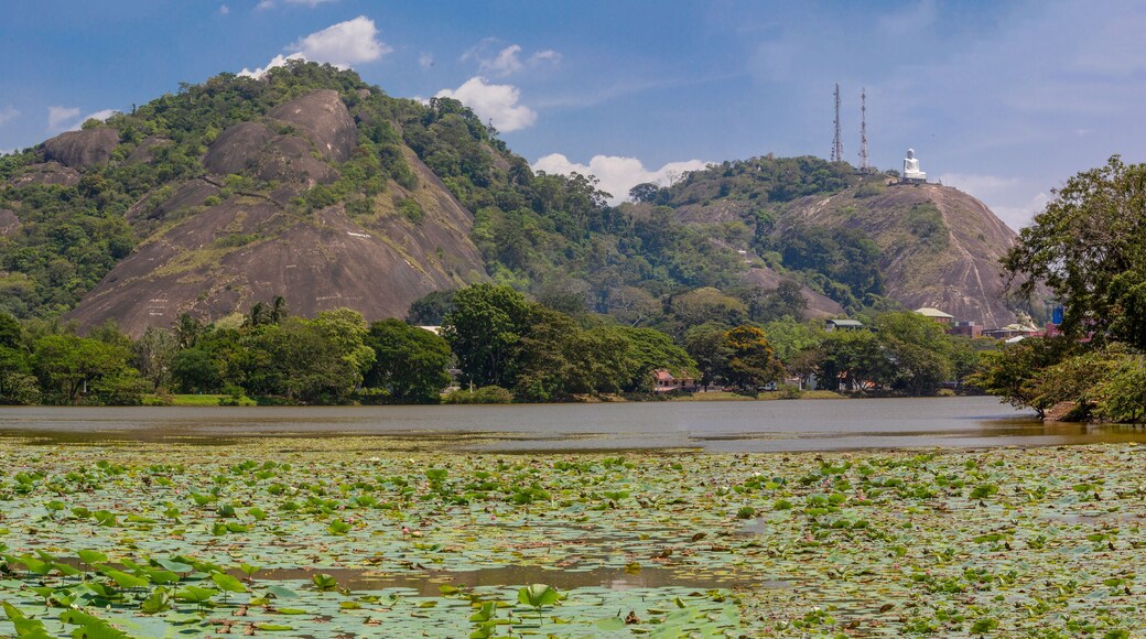 Sri Lanka, Wilpattu National Park