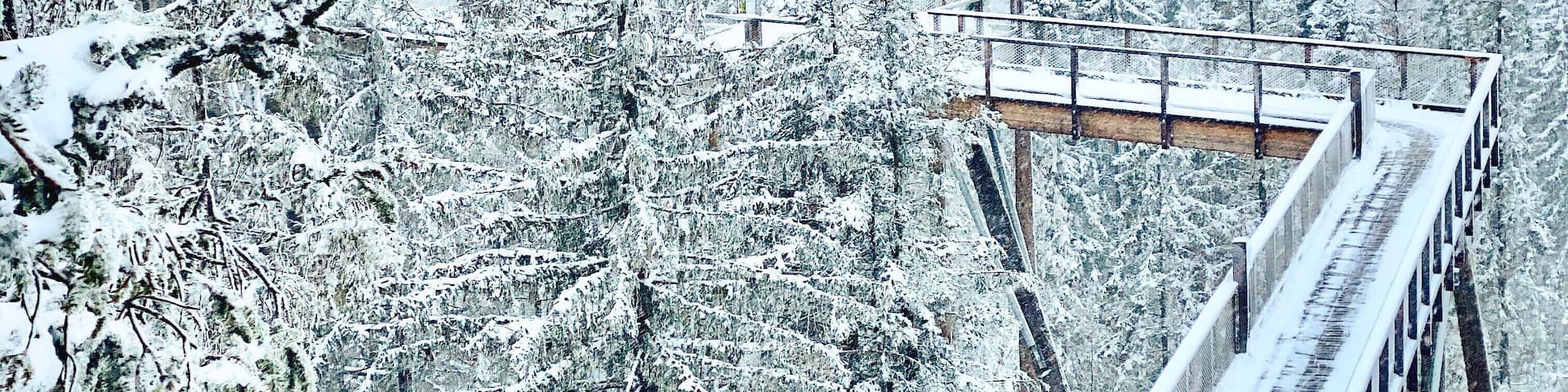 What an amazing treetop walk! #winter #snow #slovakia #europe #roadtrip #trovember #hiking #landscape #nature