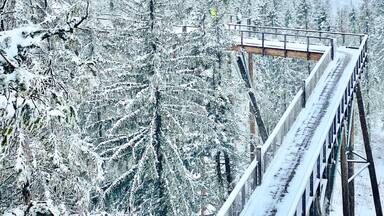 What an amazing treetop walk! #winter #snow #slovakia #europe #roadtrip #trovember #hiking #landscape #nature