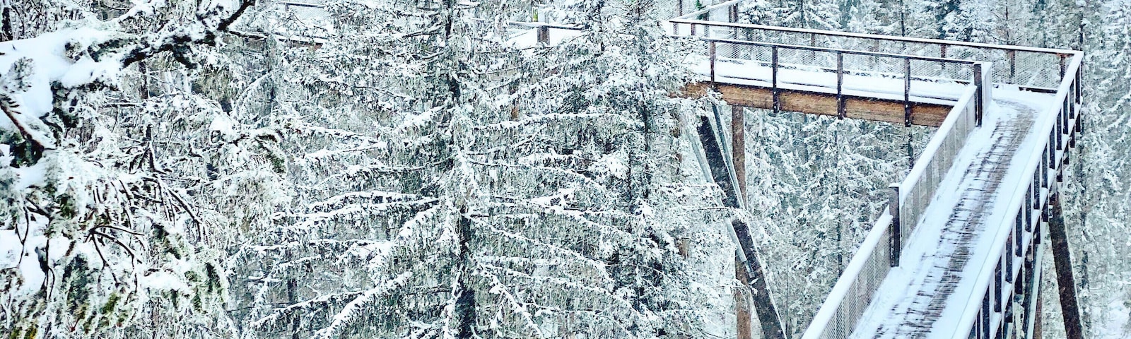 What an amazing treetop walk! #winter #snow #slovakia #europe #roadtrip #trovember #hiking #landscape #nature