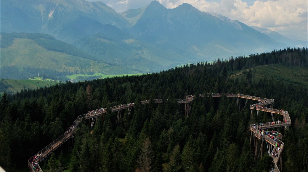 It's a wooden pathway in Slovakia where you can enjoy amazing views on Tatra mountains from a height level of trees. #aboveitall