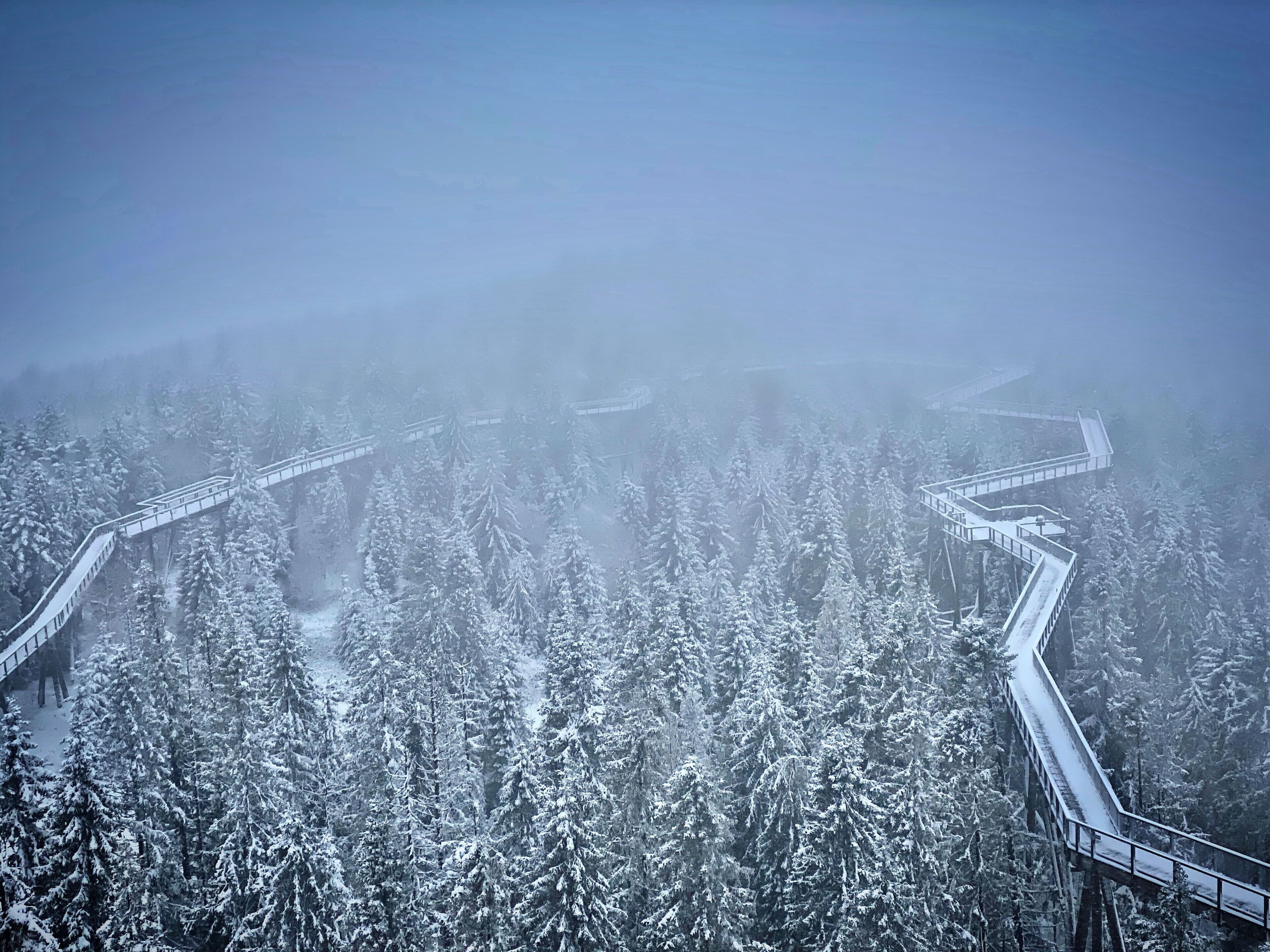 Freezing cold and stunning views from the top of the observation tower.
#fog #snow #cold #winter #slovakia #europe #roadtrip