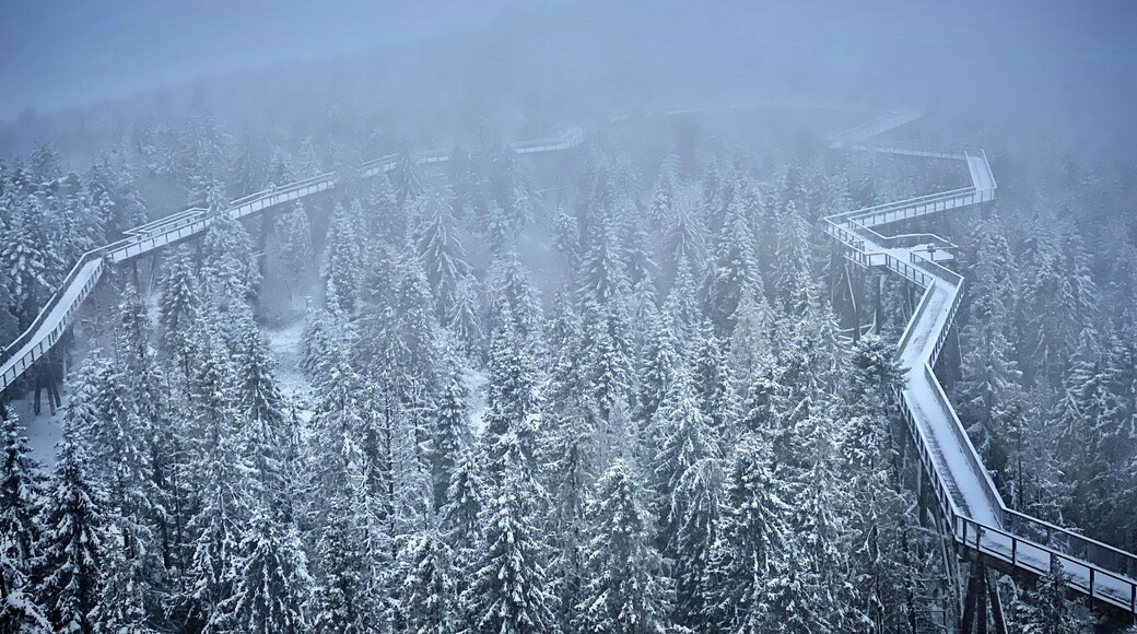 Freezing cold and stunning views from the top of the observation tower.
#fog #snow #cold #winter #slovakia #europe #roadtrip