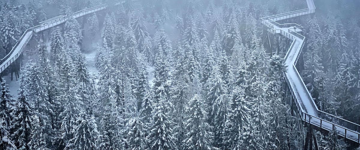 A snow-covered forest with a winding bridge.