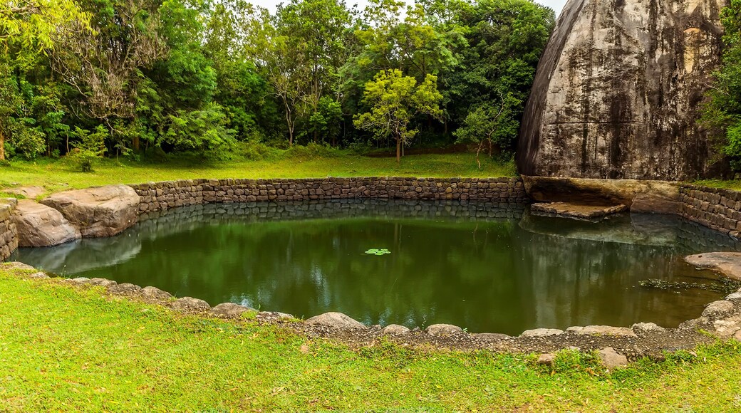 An octagonal lake in the gardens of the rock fortress of Sigiriya, Sri Lanka