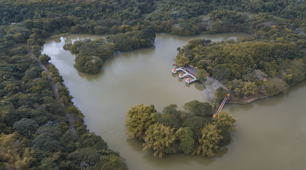 Landscape of the Mirador Norte Park covered in greenery in the Dominican Republic
