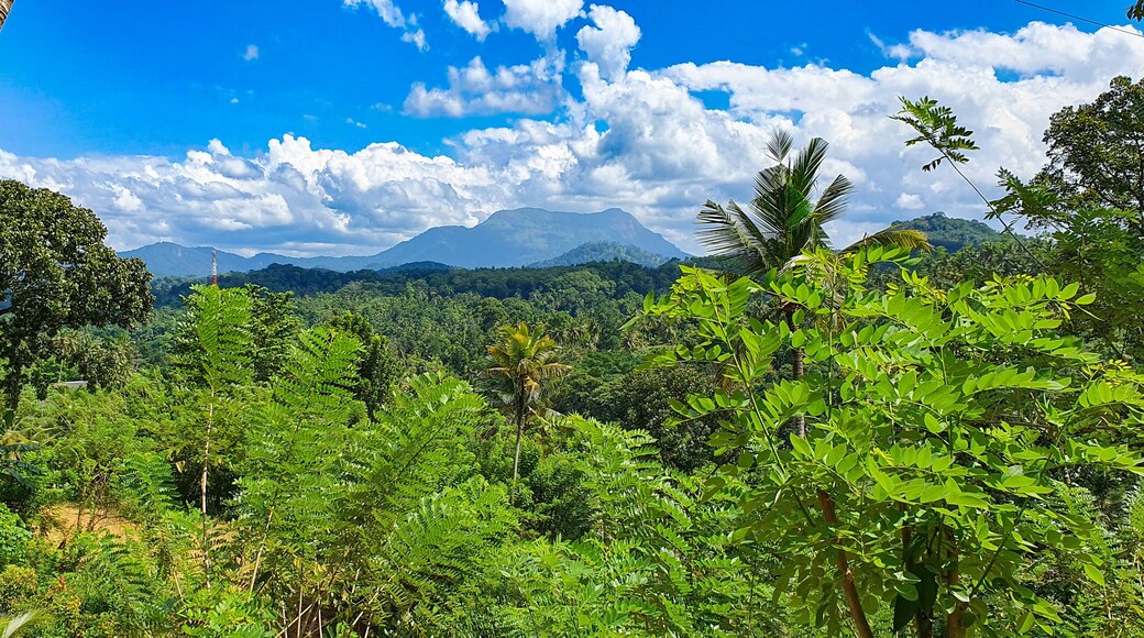 Randeniya, Sri Lanka: Blick auf die Berge der Zentralprovinz