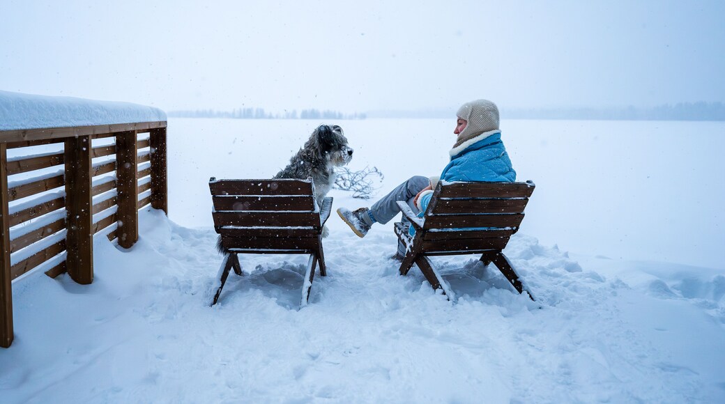 woman and her dog sit on wooden chairs near snowy frozen lake