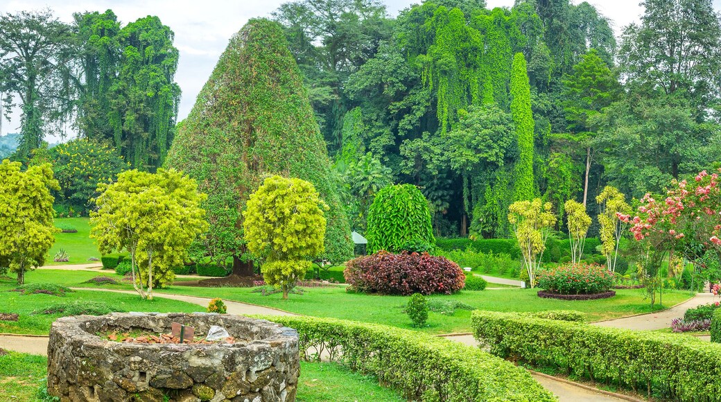 Royal Botanical Garden