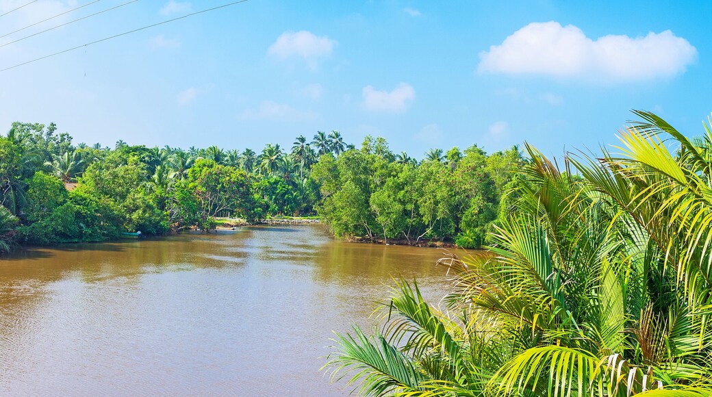 Gin Oya River in Sri Lanka