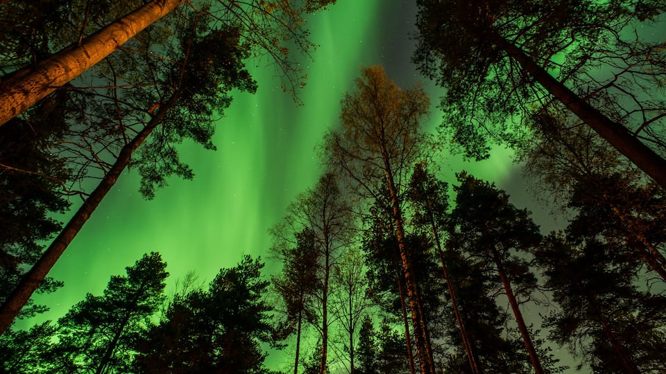 Northern Lights Finland Kuopio