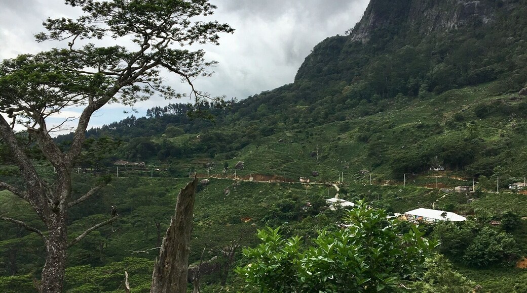 Knuckles park outside Kandy Sri Lanka