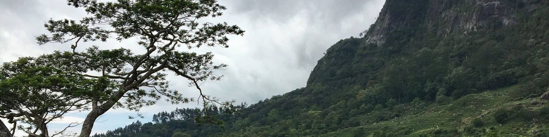 Knuckles park outside Kandy Sri Lanka