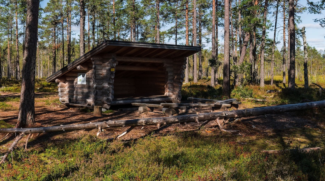 Leikkistenkangas traditional wooden Lean-To shelter and campfire site in Lauhanvuori National Park, Finland on a sunny day in autumn