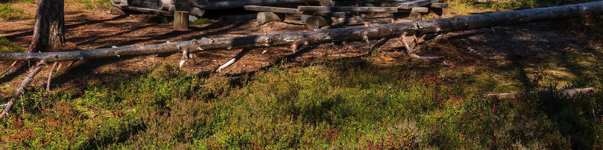 Leikkistenkangas traditional wooden Lean-To shelter and campfire site in Lauhanvuori National Park, Finland on a sunny day in autumn