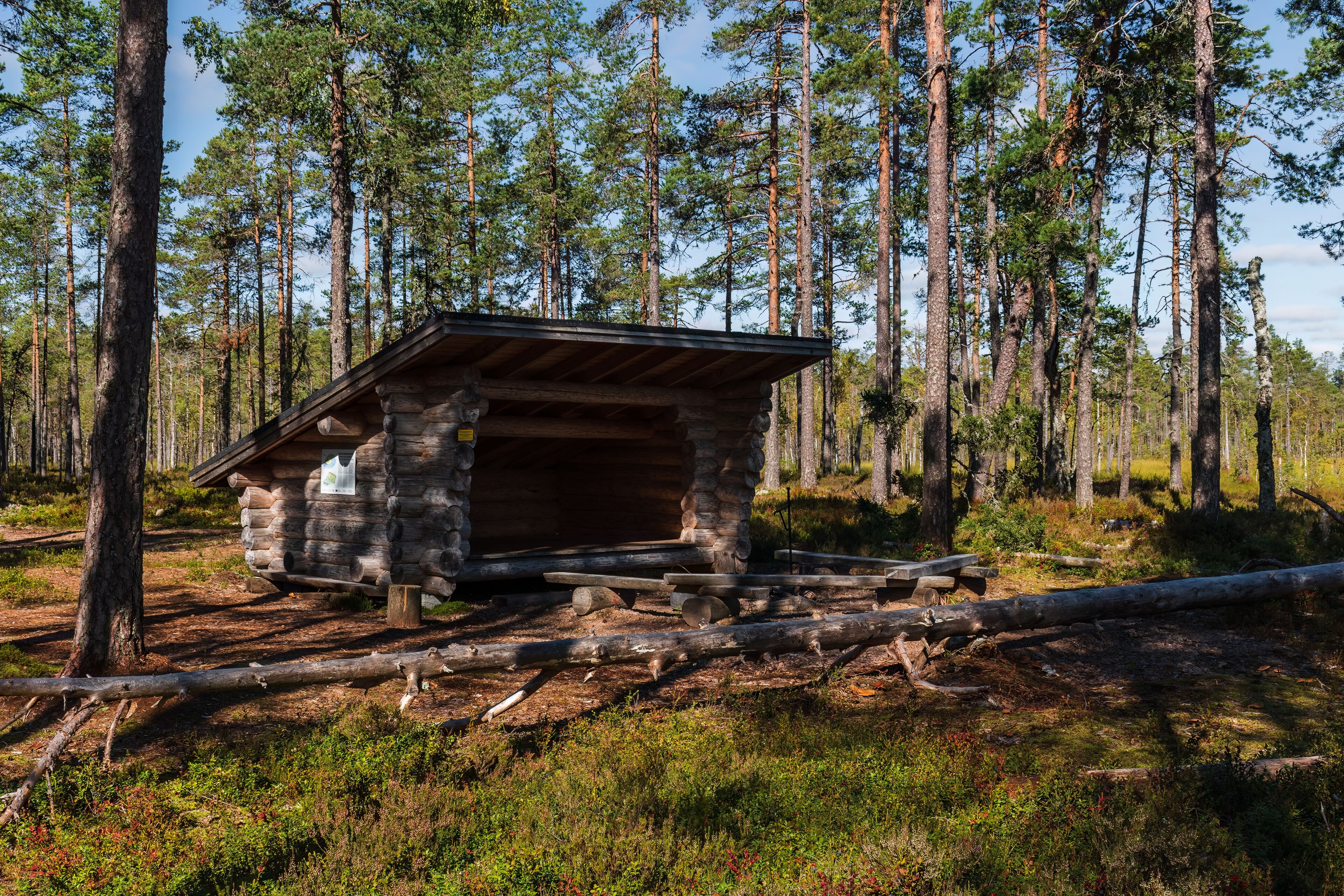 A rustic cabin in a forest.